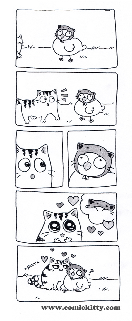 Kitty gets an admirer